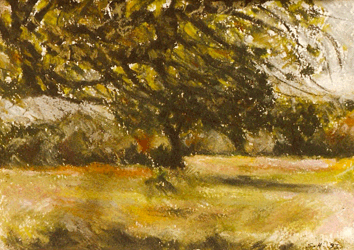 Blustery Day, Epping Forest pastel drawing